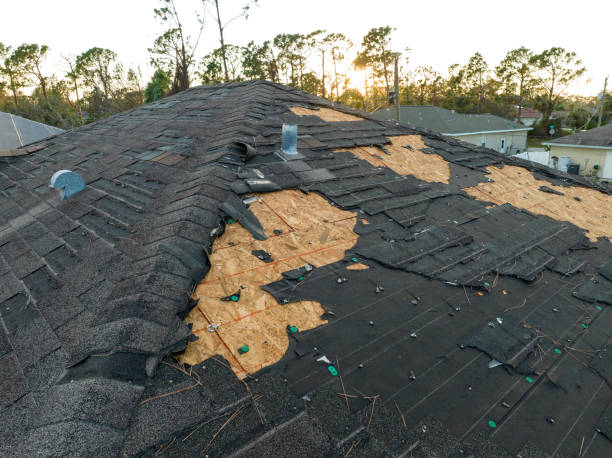 Best Roof Repair  in Cartersville, GA